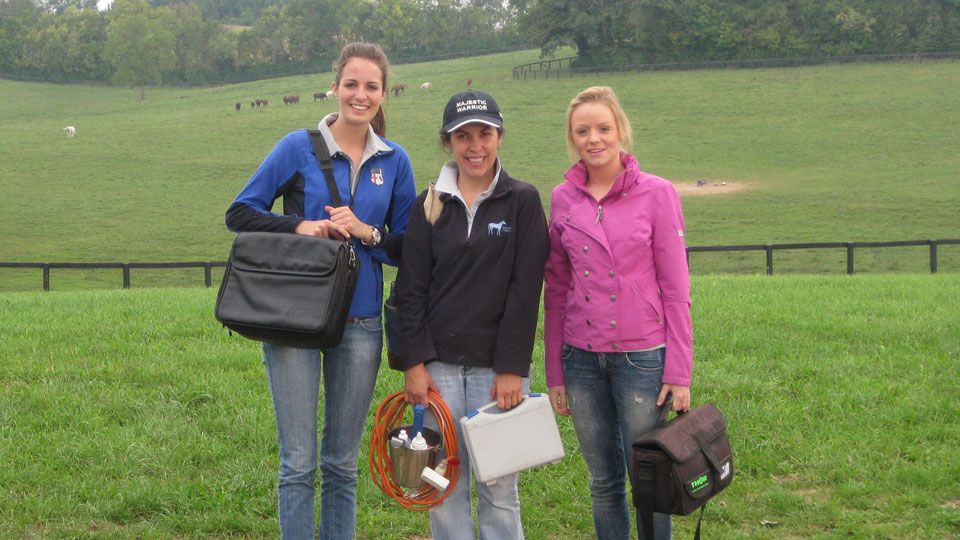 Equisio